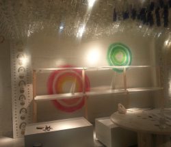 Negozio centro Bologna